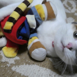 「刺激に飢えてるぞー」サムネイル2