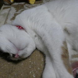 「刺激に飢えてるぞー」サムネイル3