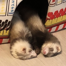 出てくる出てくる。。