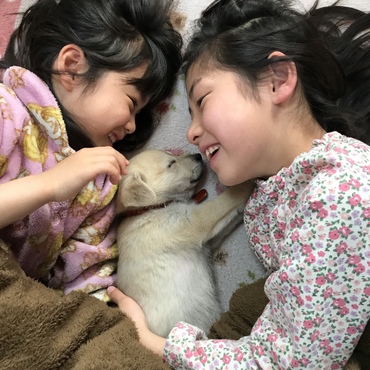 優しい気持ちが溢れてきます。こんなにも、愛おしいのかと、驚くほどです。感謝です！！