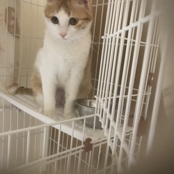 しまじろう3日目