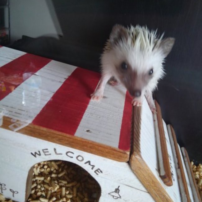 みさこ25のカバー写真