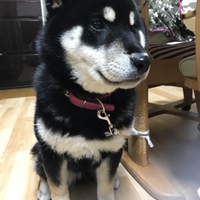 小鉄