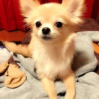 ララ