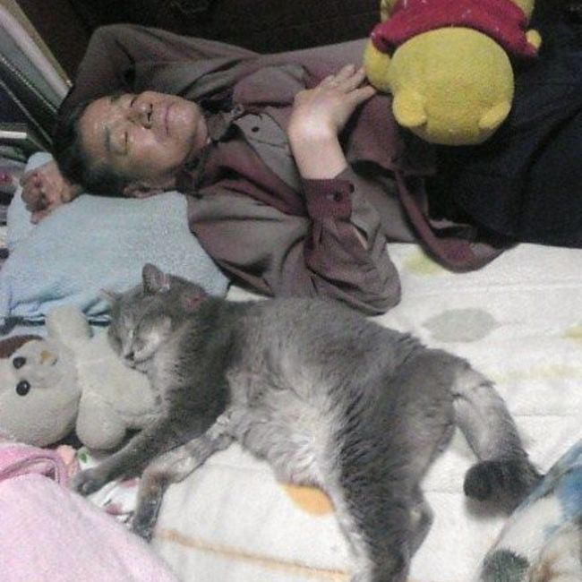 FYJ44のカバー写真