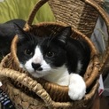 チョビヒゲーヌでれでれ小すも♡