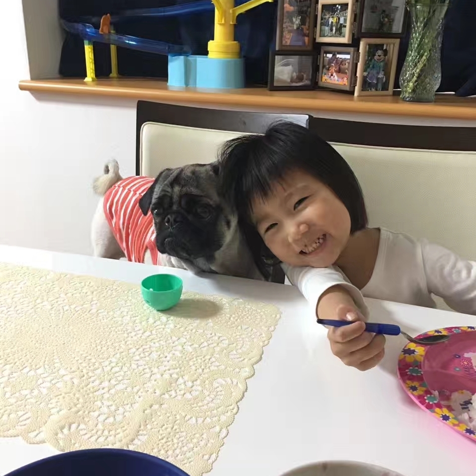 ホープのカバー写真