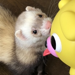 おはようございます☆暴れん坊３匹♪