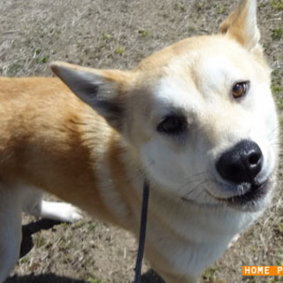 大分：優しい女の子です。でか子♪