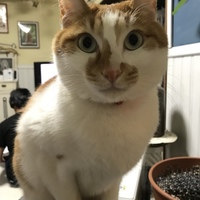 うみくん