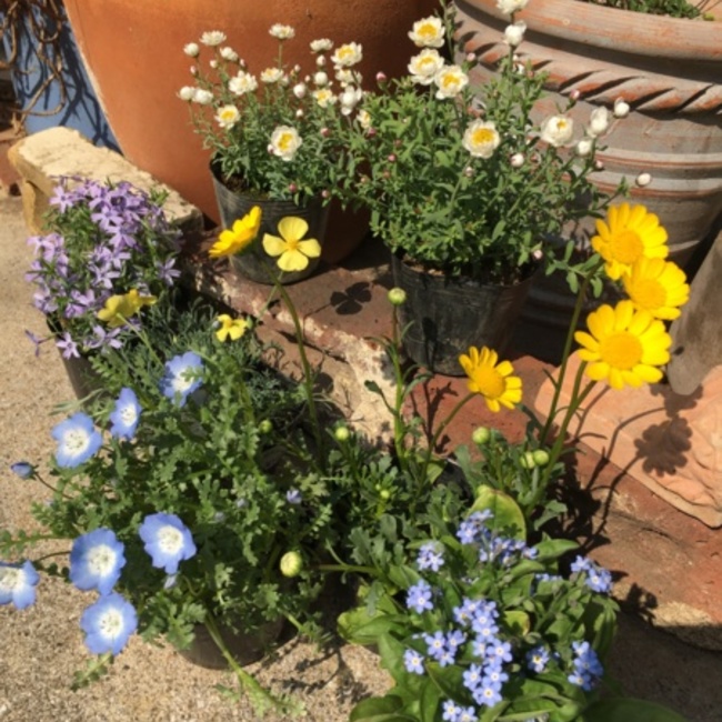 kyari35のカバー写真