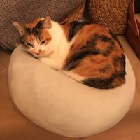 バリ