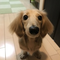 オリバー