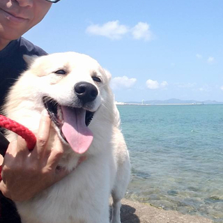 里親様決定しました‼️ありがとうございます