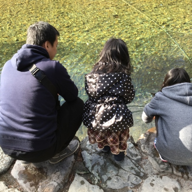 ひーこ307のカバー写真