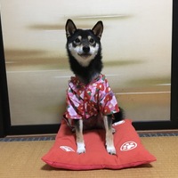 つむぎ