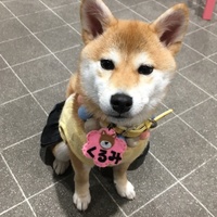 くるみ