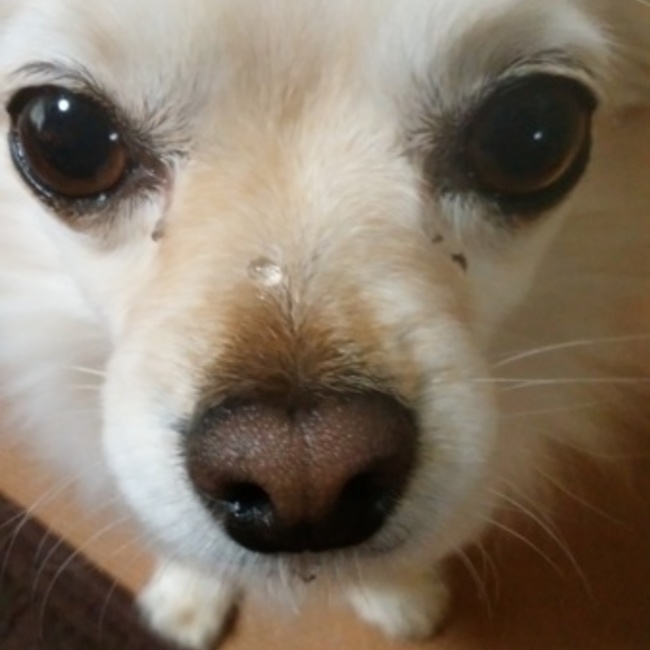 akeママのカバー写真