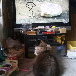 「うにちゃんは10本アニメがお気に入り！」サムネイル1