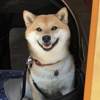 Hana