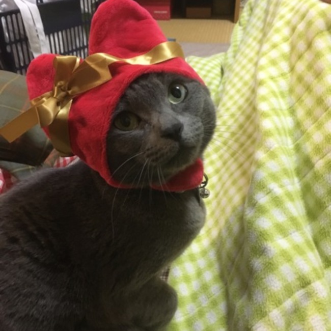 チャイままのカバー写真