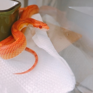 たくさんのご応募ありがとうございました！