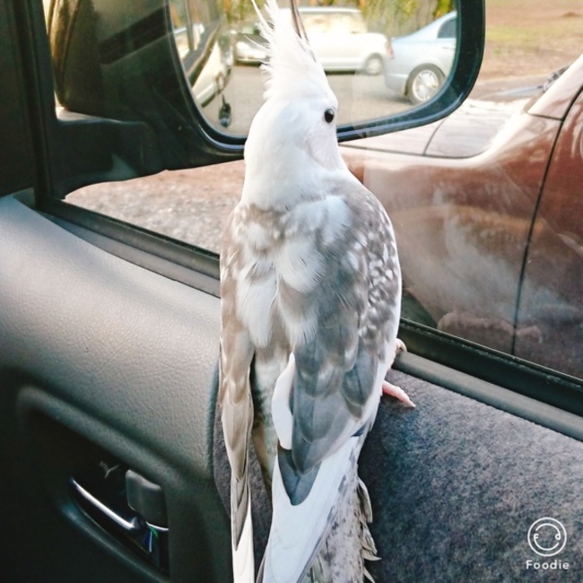 yuki3728のカバー写真