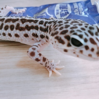 たくさんのご応募ありがとうございました！