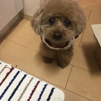 ティアナ