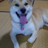 ポー