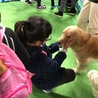 あきあみゆみ