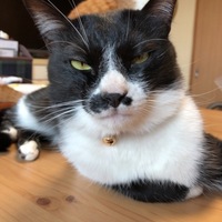キラ