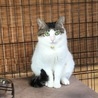 みぃちゃん