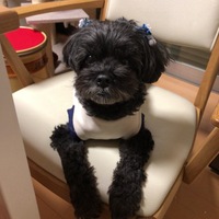 黒丸