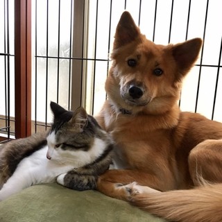 飼育放棄されました。