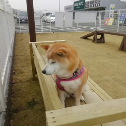 突然w(゜o゜)w春‼