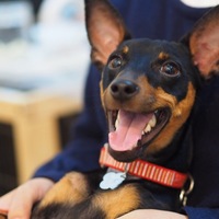 福太郎 （ふくたろう）