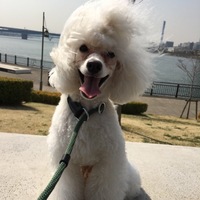 ユニ
