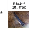 里親様に迎えられました。有難うございました。 サムネイル2