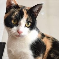 ほたる