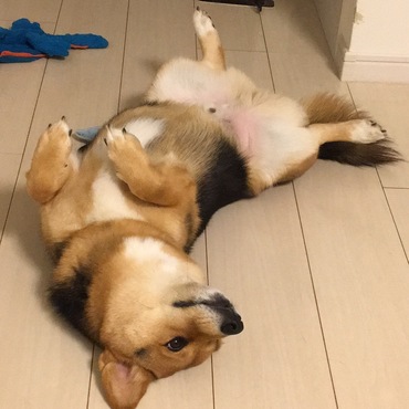 の写真