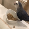 完全数