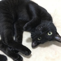 よる