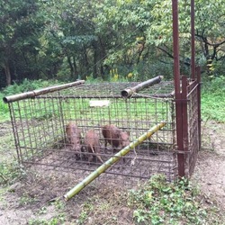 「里親募集！…なんて」サムネイル2