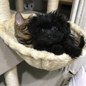 応募者の方々に感謝いたします。