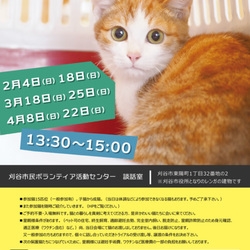 刈谷で開催!!猫の譲渡会