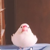 トゥブのぷー