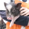 モモンガさん