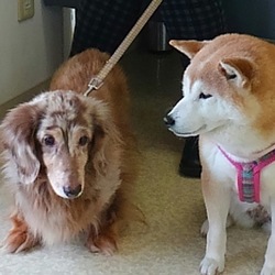 久々に病院へ(*´-`)