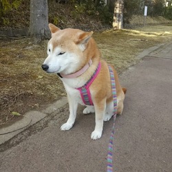 「久々に病院へ(*´-`)」サムネイル2
